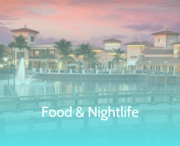 Food and Nightlife