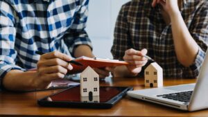 Professional Partner